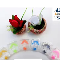 دماغ گیر و گوش گیر اسپیدو