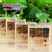 سایه ابرو سه رنگ دودوگرل