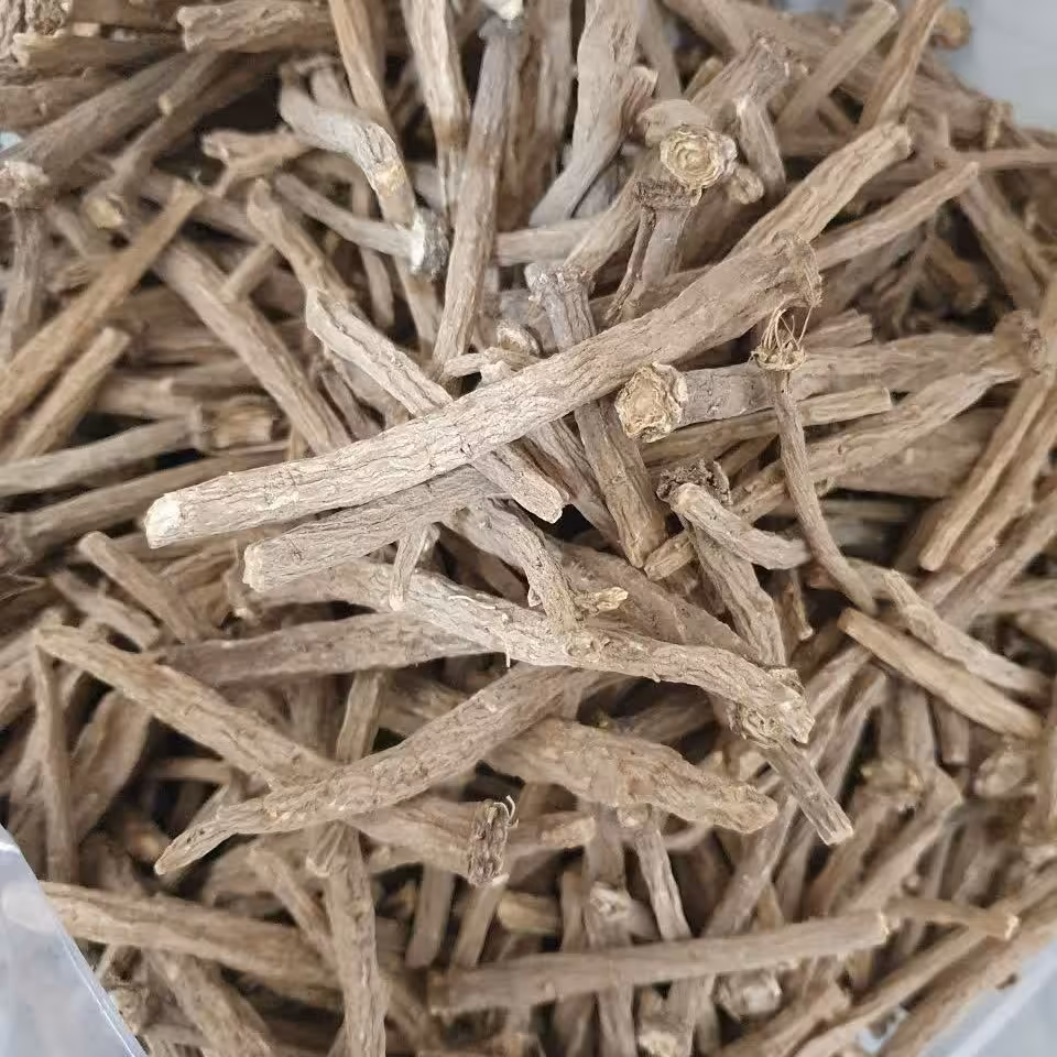 عاقرقرها عاقرقرحا  50 گرم (میگرن .کمر درد .لکنت زبان و..