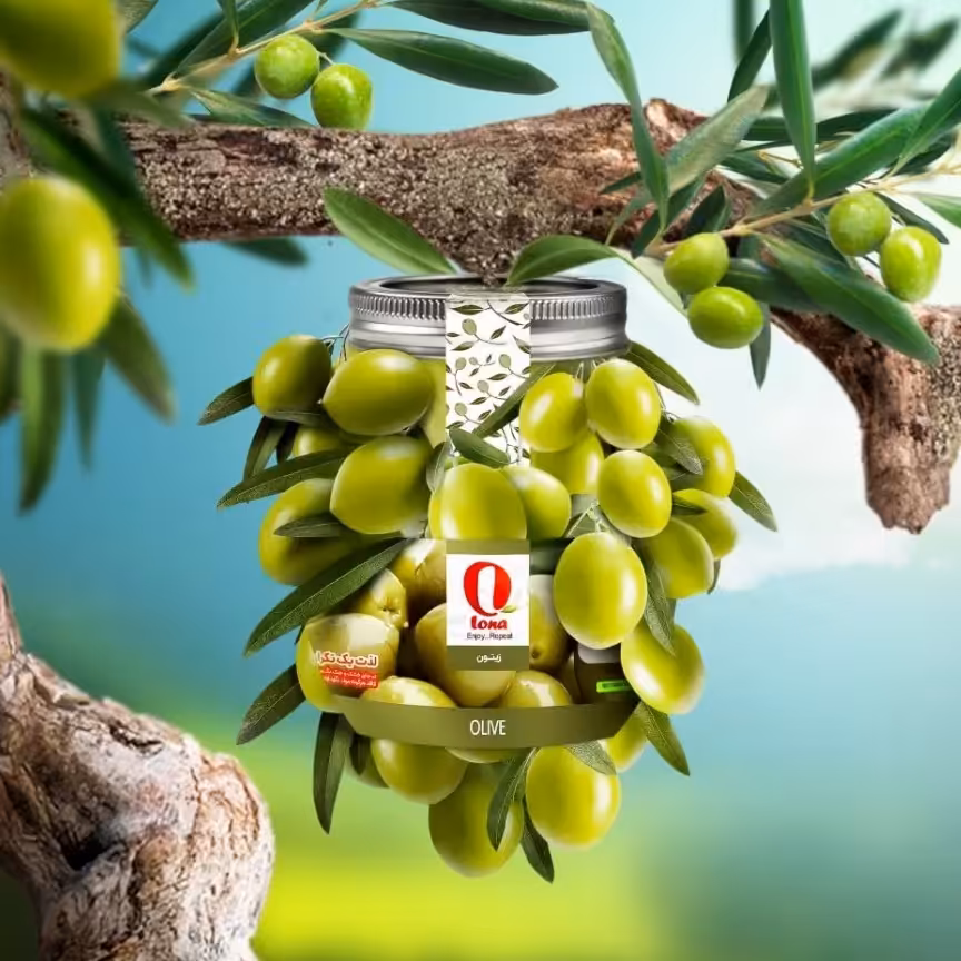 زیتون سبز  هسته دار شماره 5 بسته 800 گرمی