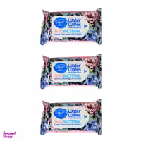 دستمال مرطوب دافی (Dafi) مدل Anti Bacterial Gn20 مجموعه 3 عددی