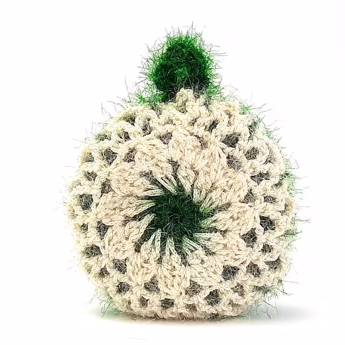 خرید اسکاج ظرفشویی قلاب بافی طرح کره ای