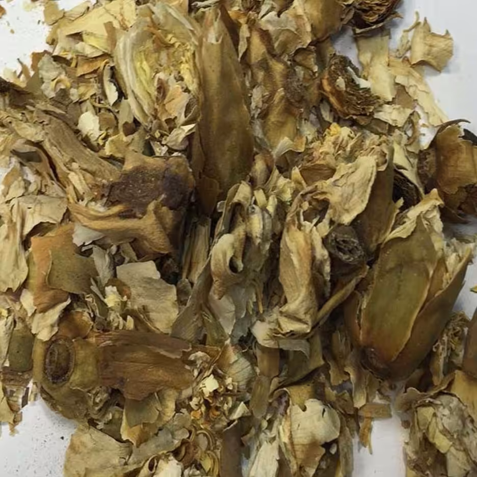 گل نیلوفر خشک شده