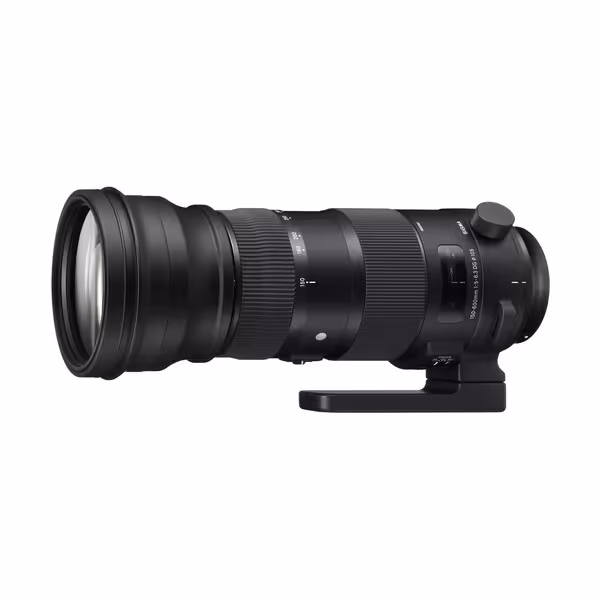 لنز سوپر تله سیگما Sigma 150-600mm f/5-6.3 DG OS HSM Sports برای کانن