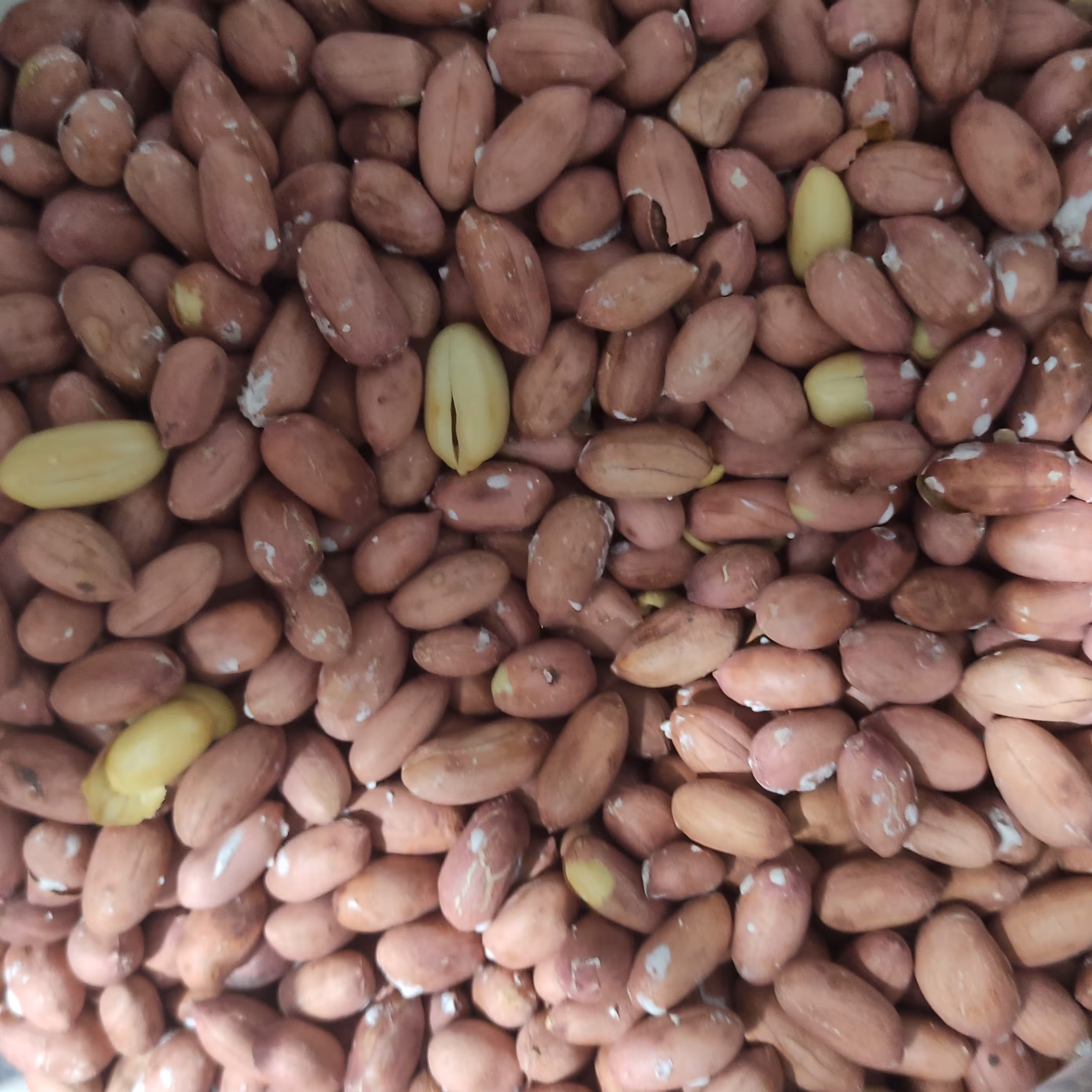 بادام زمینی آستانه