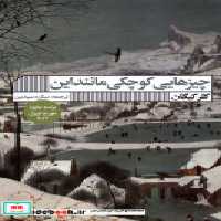 قیمت و خرید کتاب چیزهایی کوچکی مانند این گویا | ایده بوک