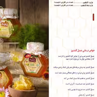 عسل گشنیز آیناس