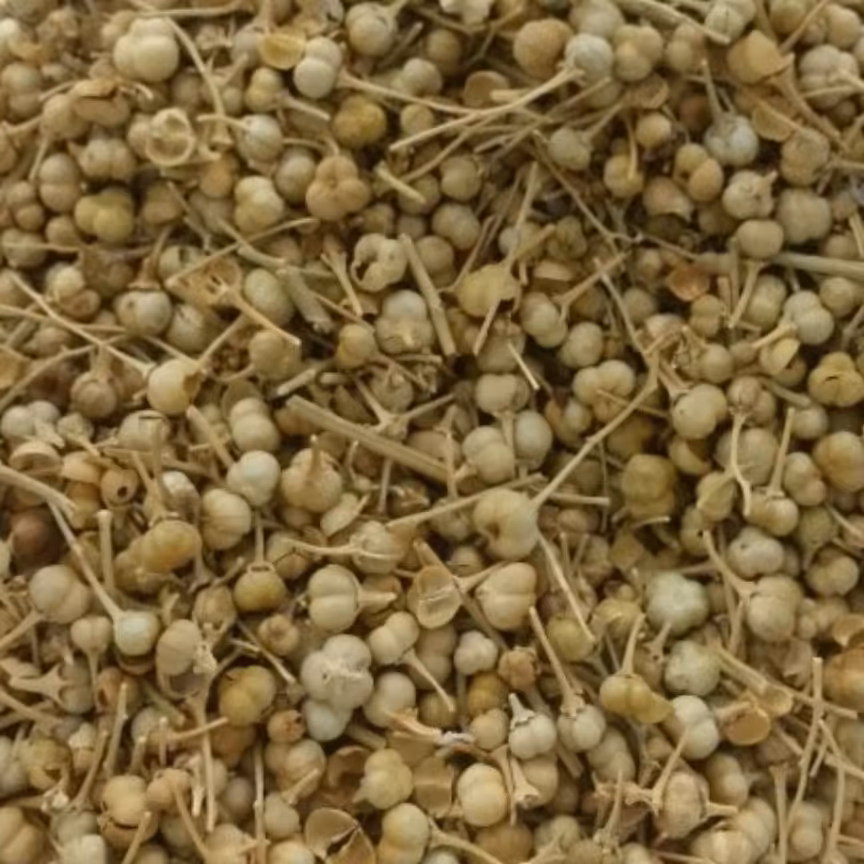 اسفند نخودی 1کیلویی