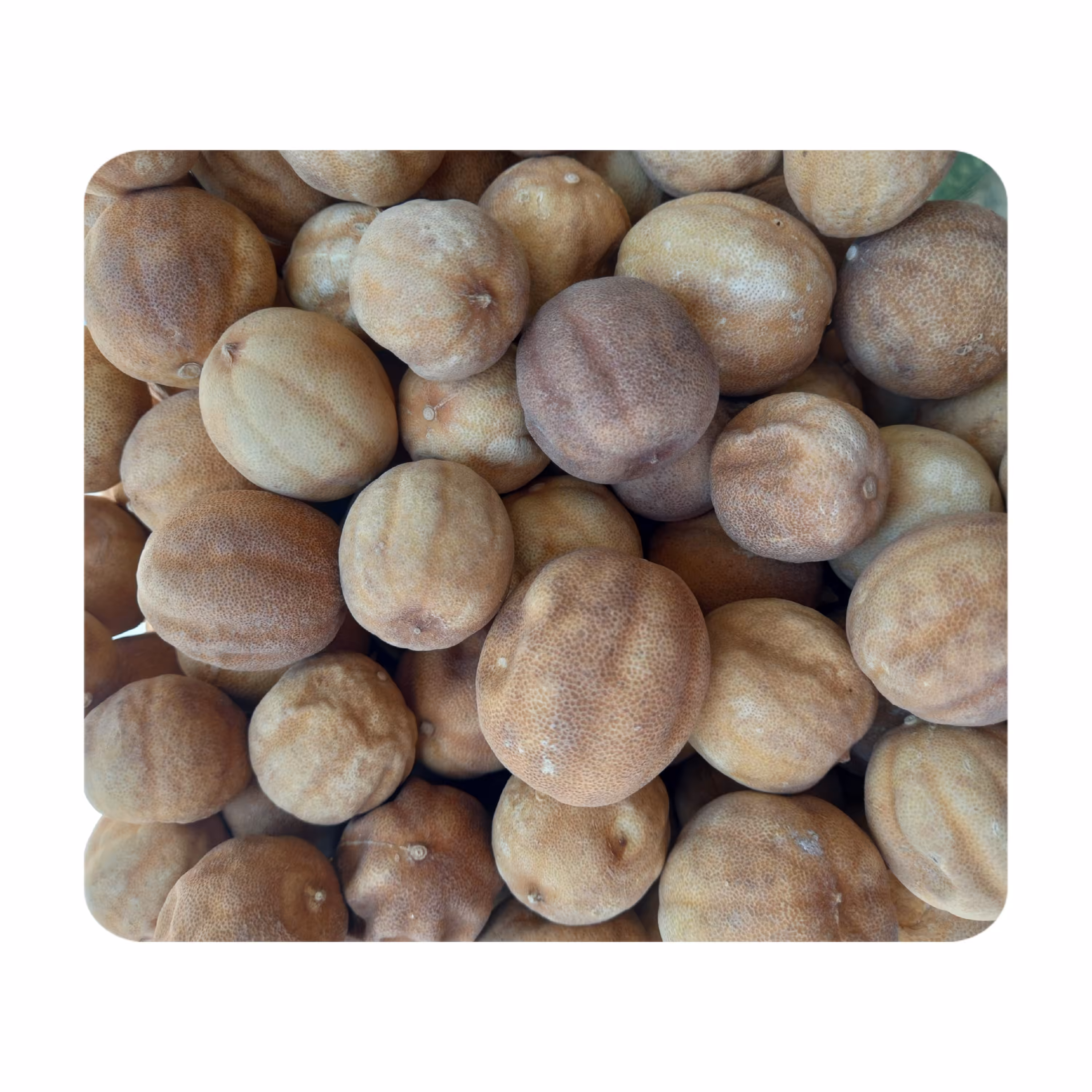 لیمو عمانی درجه یک خوش عطر و طعم بدون تلخ نیم کیلویی