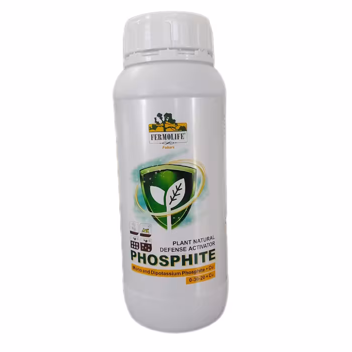 فسفیت فرمولایف مایع یک لیتری