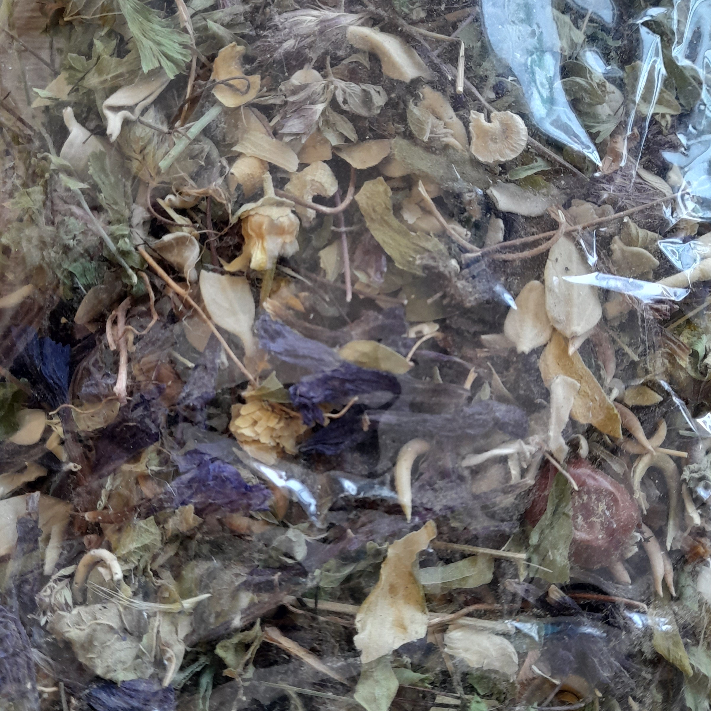 دمنوش سرماخوردگی