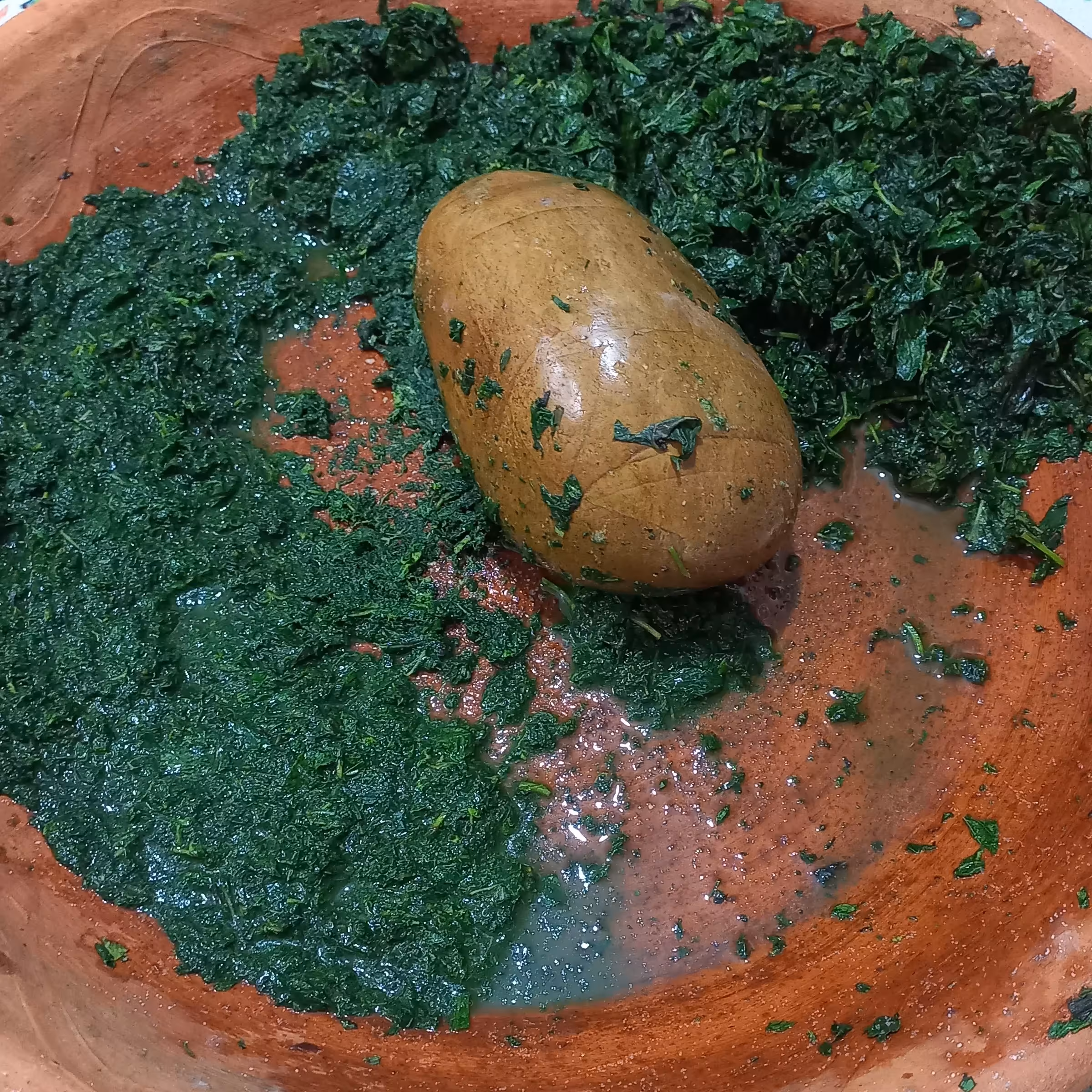 دِلار درجه یک گیلان زمین نمک سبز گیلانی  دلال یا درار 