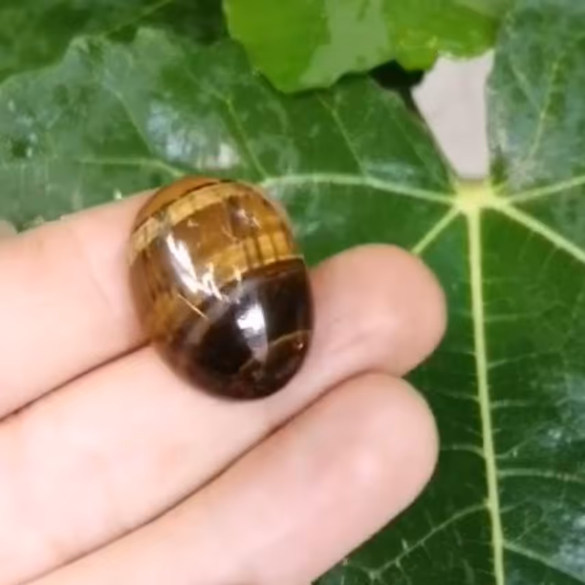 نگین چشم ببر اصل باتلالؤ رنگ طلایی زیبا طرح بیضی