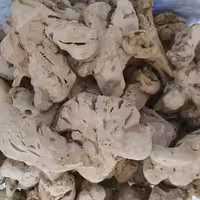 چوب چینی خوراکی 50 گرم 