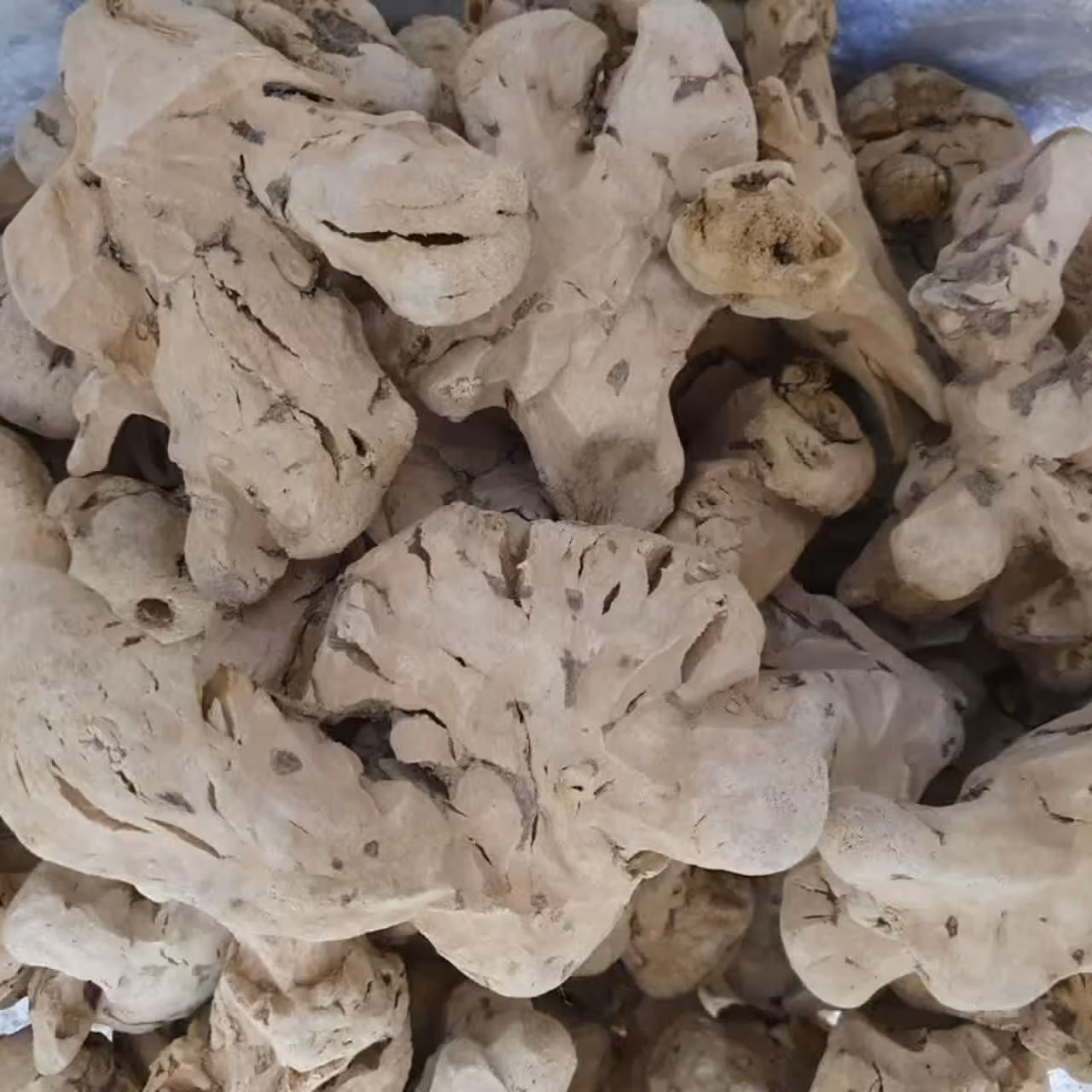 چوب چینی خوراکی 50 گرم 