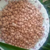 لوبیا چیتی خو ش پخت و درشت