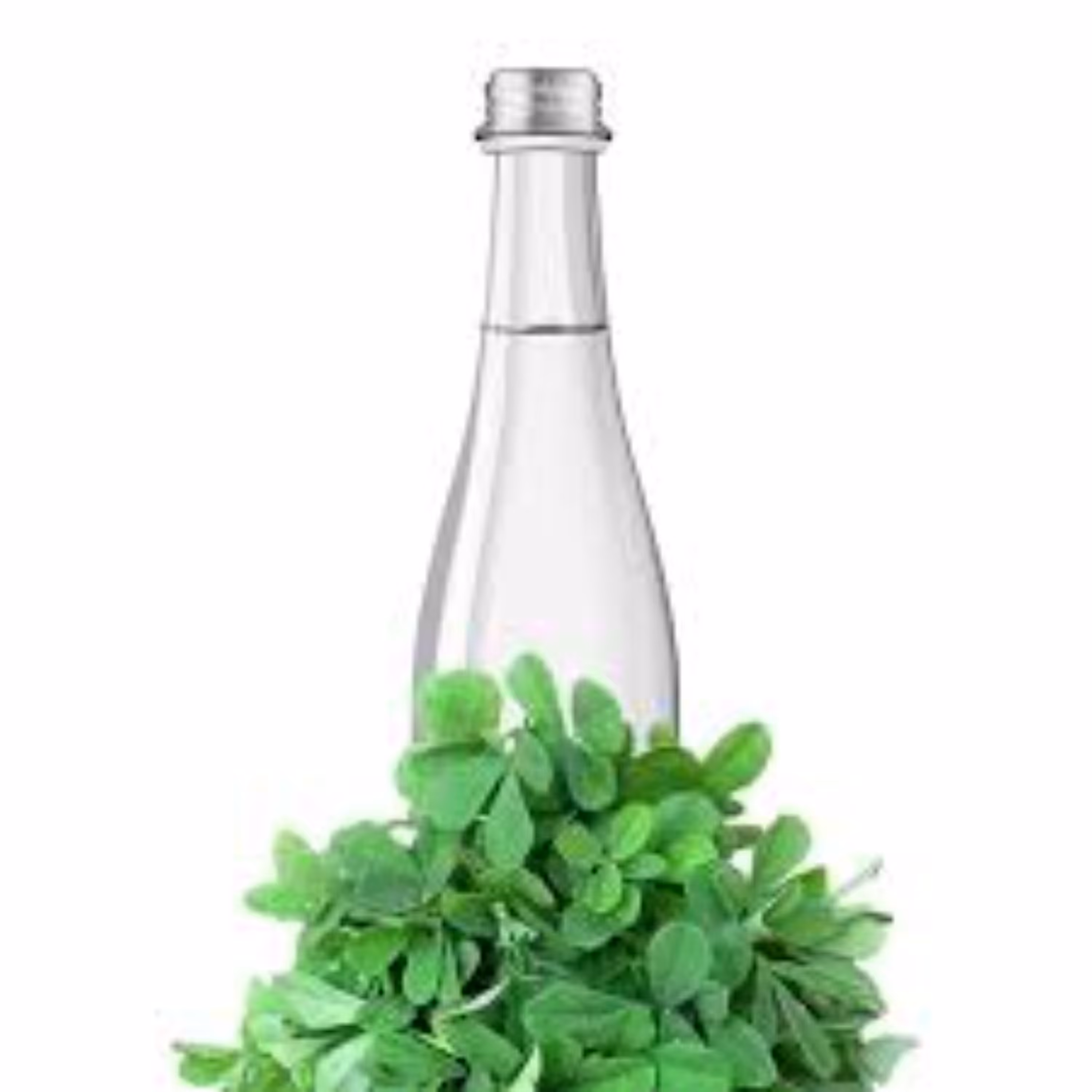 عرق یونجه 850 سی سی