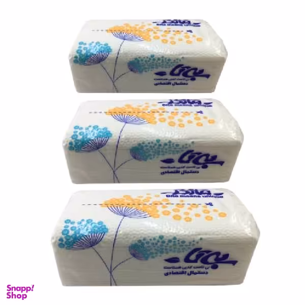 دستمال کاغذی 100 برگ بی تا مدل اقتصادی کد 00911 بسته 3 عددی