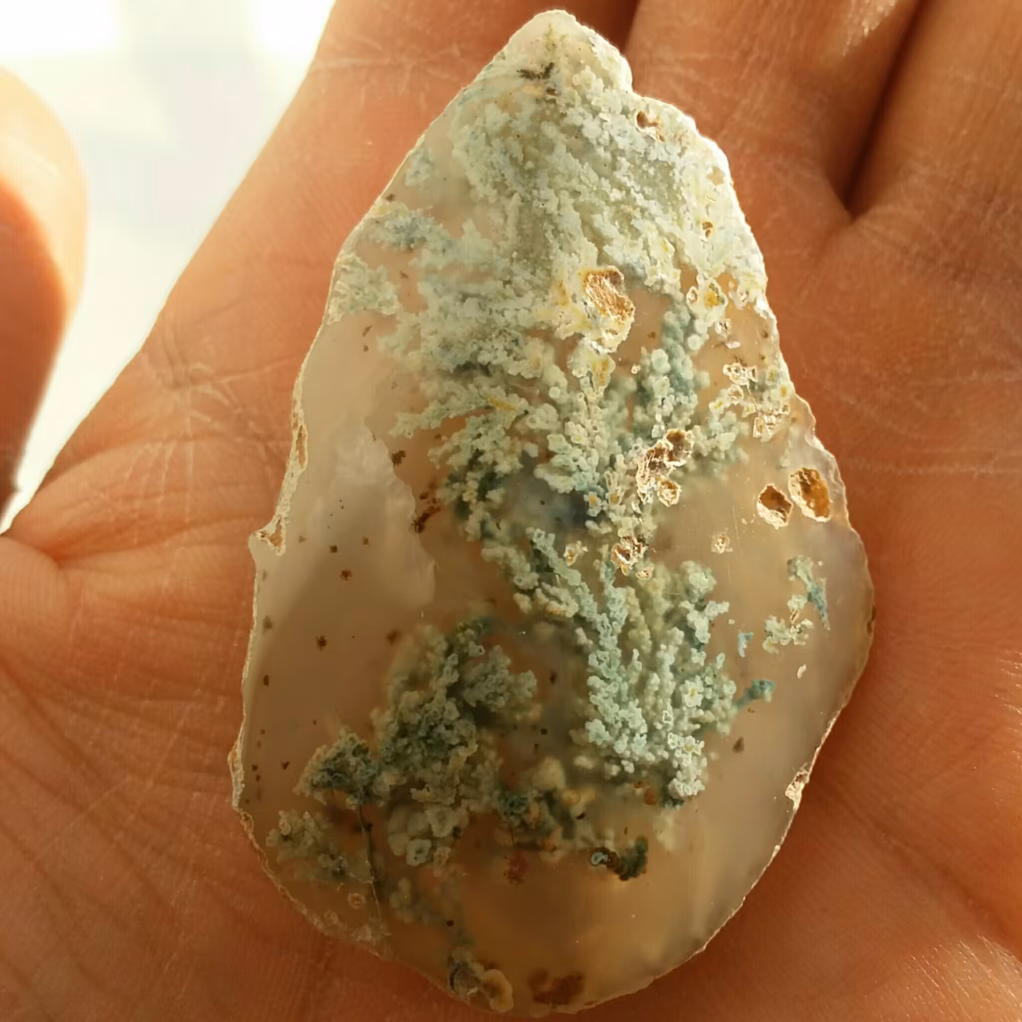 سنگ راف فوق کلکسیونی پولیش خورده با درخت های فوق العاده زیبا واضح شاهکار خلقت 