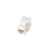 کیستون Rapiton مدل RP-KJ180-6U1 - فروشگاه اینترنتی طیف سنتر