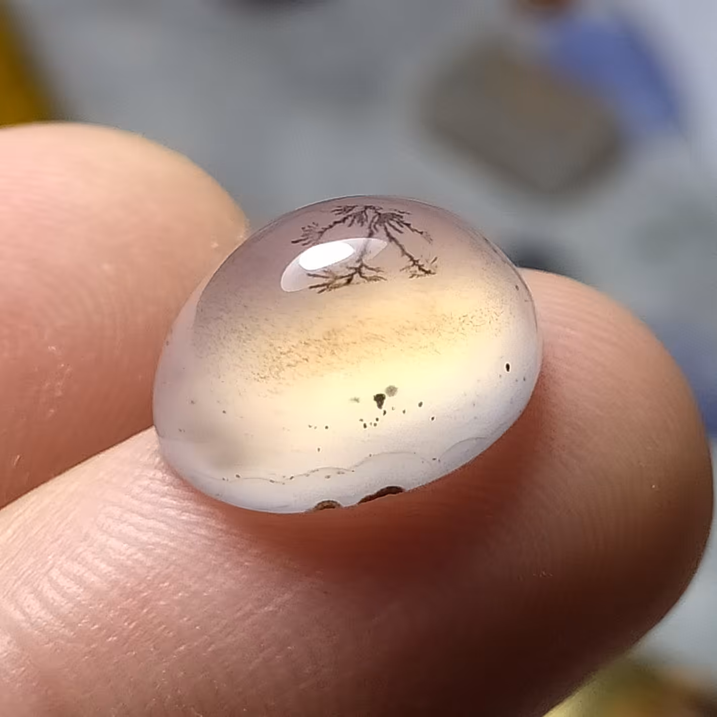 نگین عقیق شجر شندار معدنی تراش دامله پولیش آینه ای