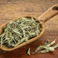 استویا ، پودر و برگ خشک شده (همراه بسته  تی بگ ) 