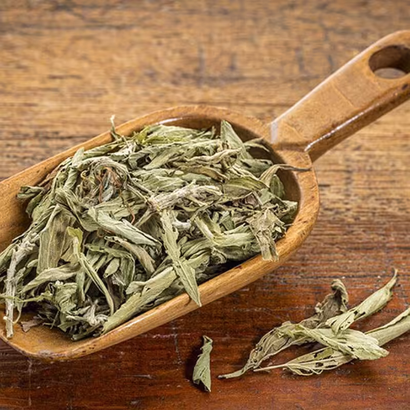 استویا ، پودر و برگ خشک شده (همراه بسته  تی بگ ) 