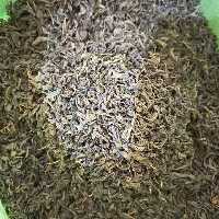 چای سبز بهاره لاهیجان (900گرمی)