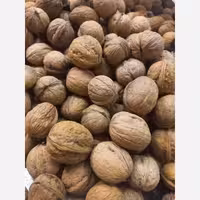 گردو پوست نازک ایرانی سفید و روغنی  800 | amazonchi