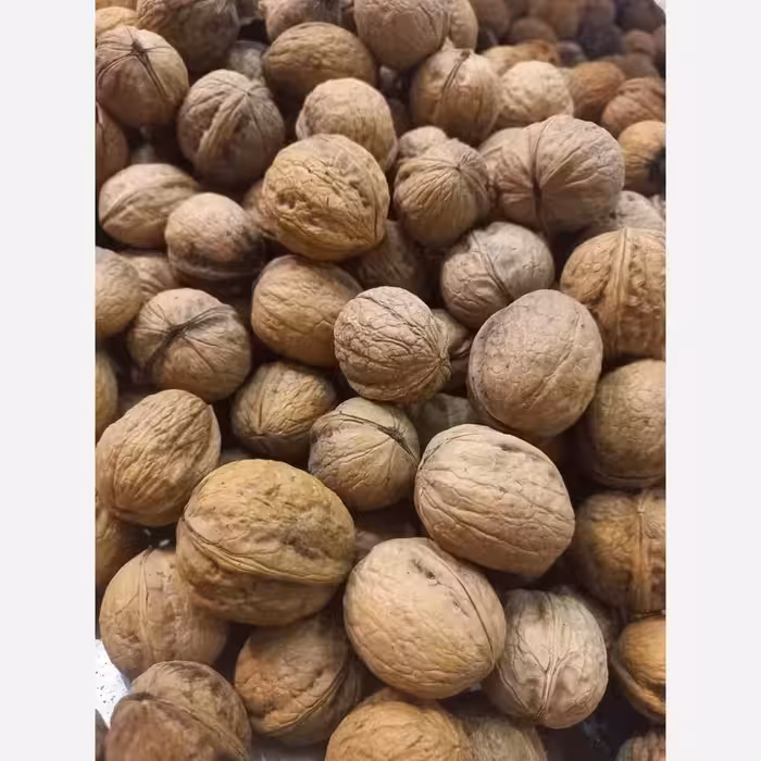 گردو پوست نازک ایرانی سفید و روغنی  800 | amazonchi