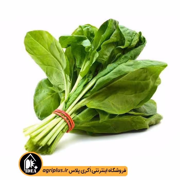 بذر شاهی بسته بندی خانگی
