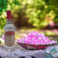 گلاب معمولی