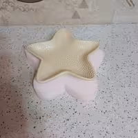قالب سیلیکونی ظرف ستاره دریایی بزرگ مناسب هفت سین