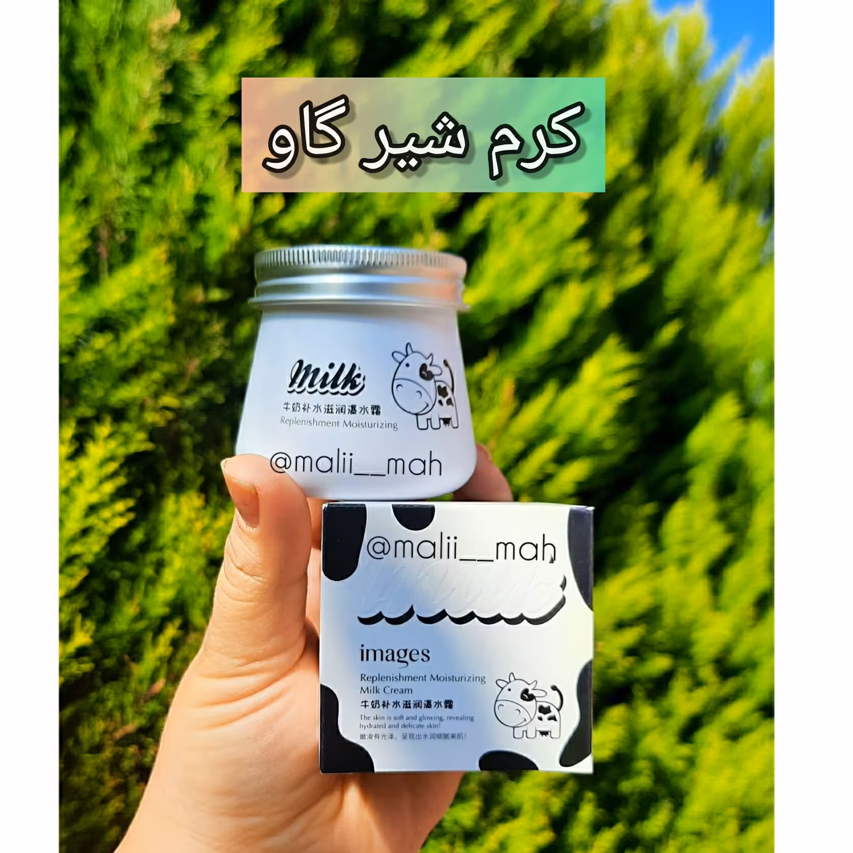 آبرسان شیر گاو