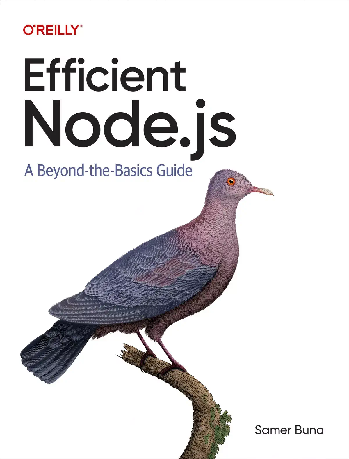 کتاب Efficient Nodejs