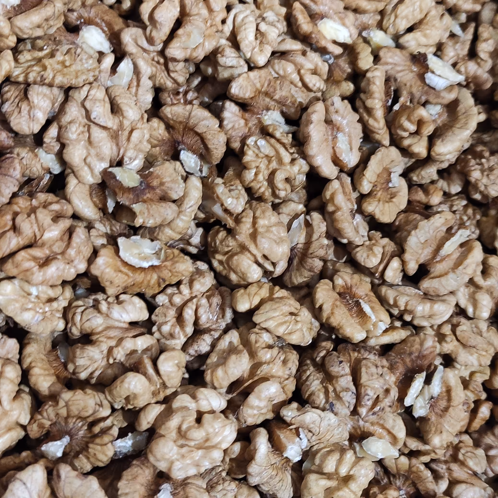 مغز گردوی اعلای مرند