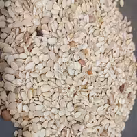 لوبیا سفید درجه 2