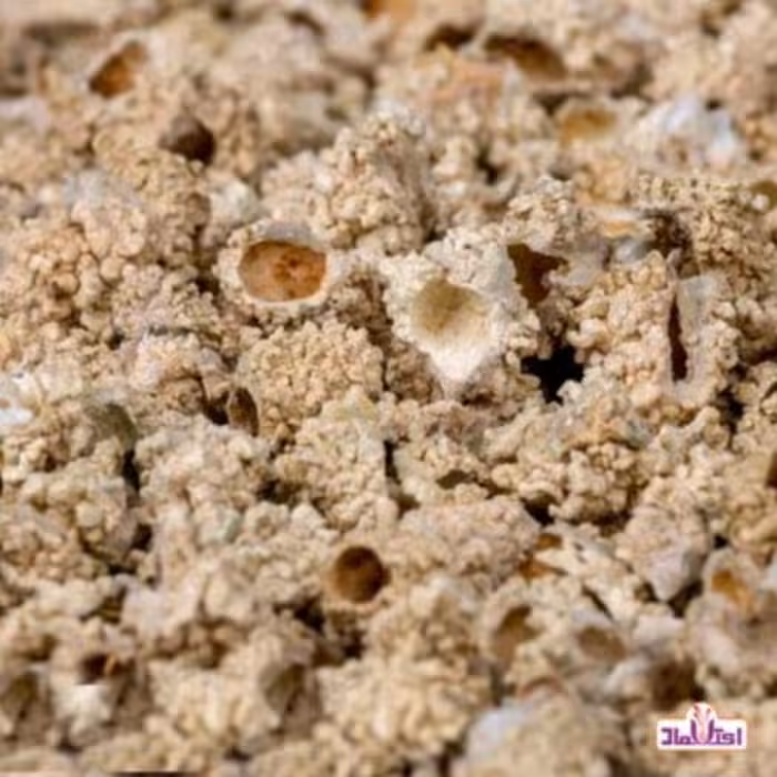 شکر تیغال 25 گرمی اعتماد ( شکرتیغال )(خارشکر )