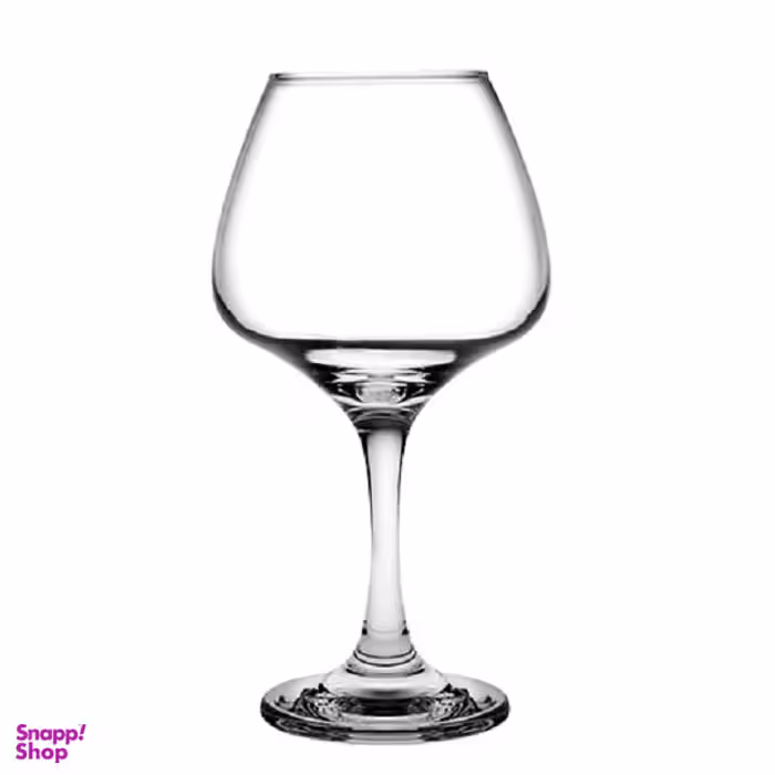 جام پاشاباغچه (pasabahce) مدل ریسوس کد 440287