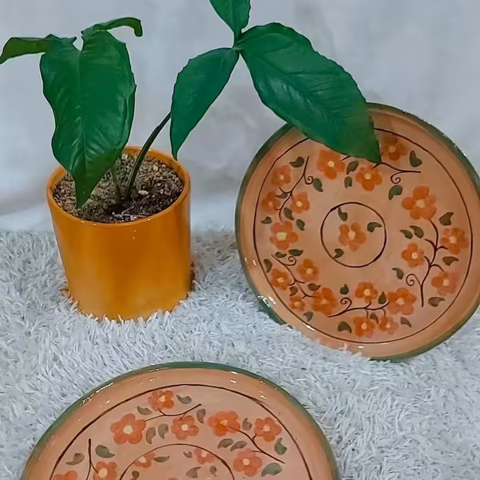 سفال سینی های پذیرایی خاص