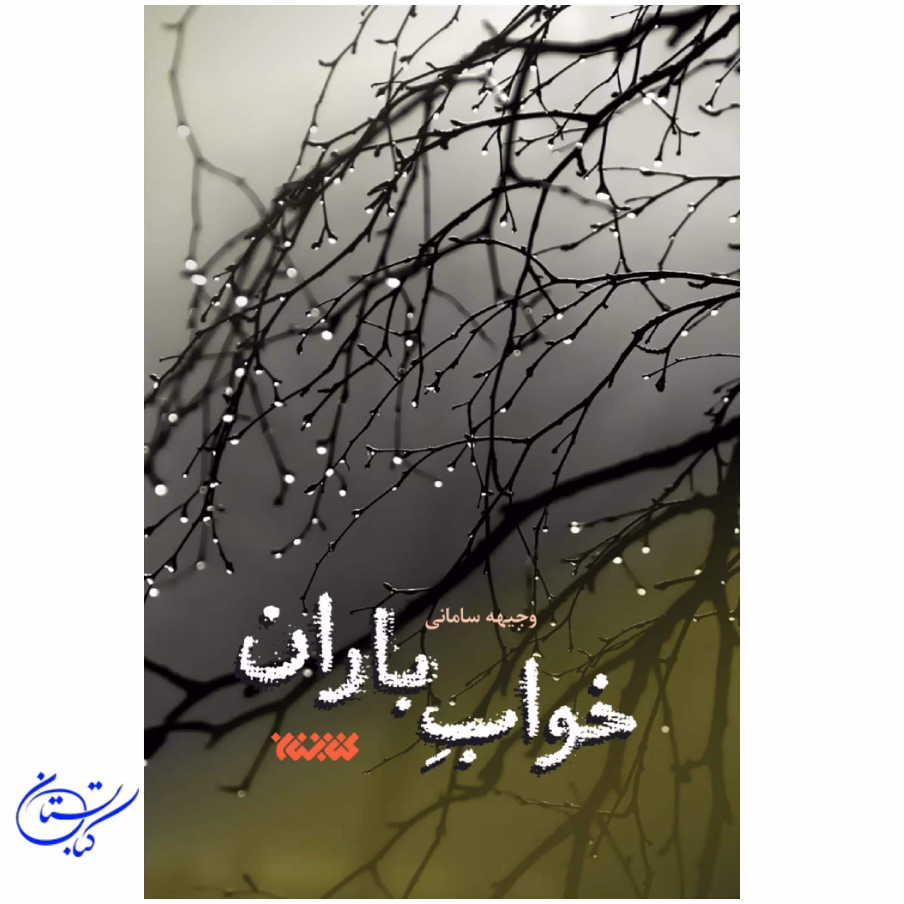 کتاب خواب باران وجیهه سامانی