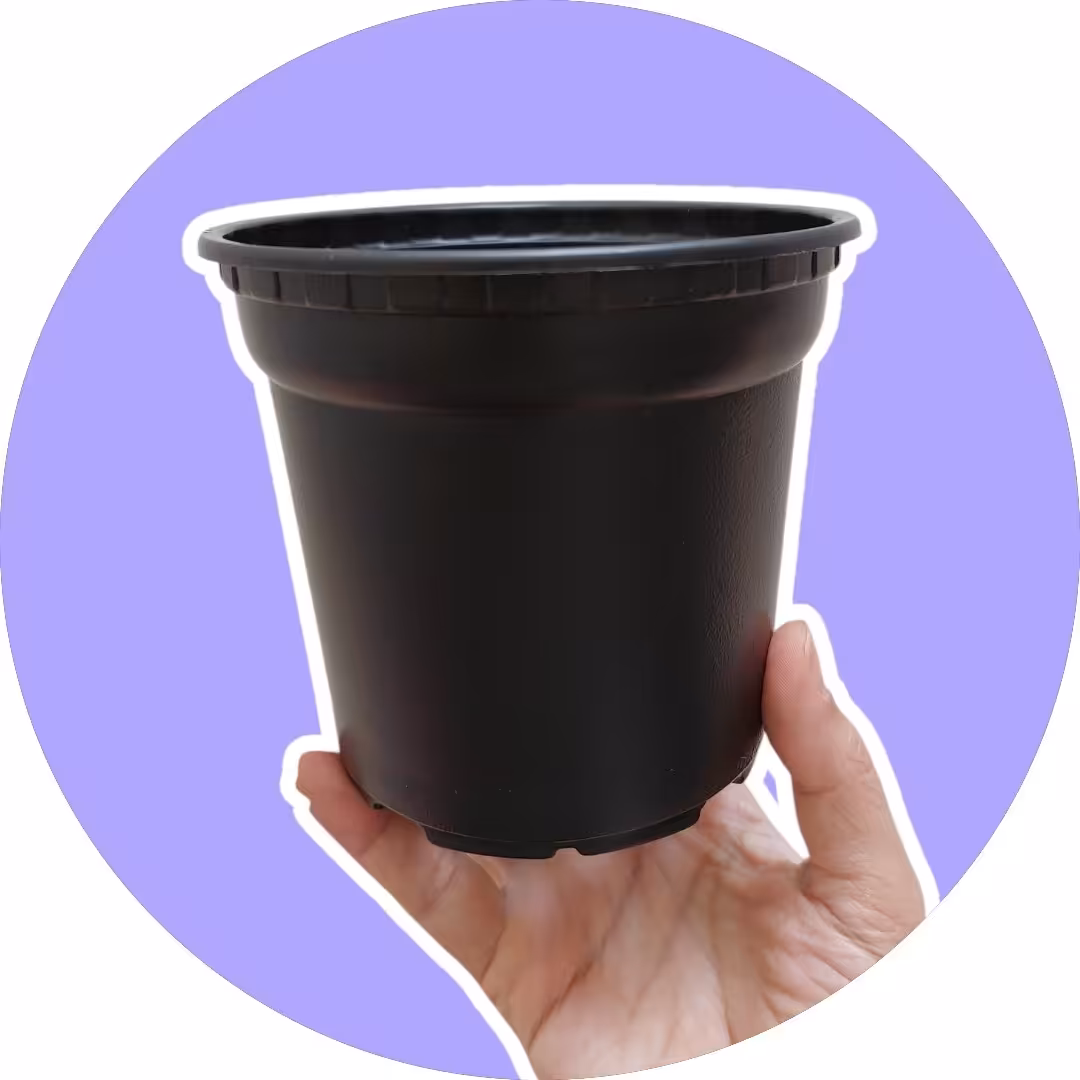 گلدان پلاستیکی نشا رنگ مشکی سایز 12 (5 عددی)