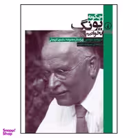 کتاب چگونه یونگ بخوانیم اثر دیوید تیسی انتشارات  نی