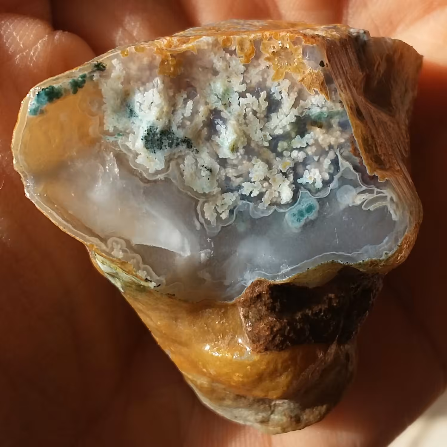 سنگ راف شجر شکوفه محشر 100 در 100 طبیعی شاهکار خلقت
تابلو نقاشی طبیعی