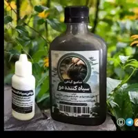 شامپو گیاهی سیاه کننده مو بهمراه قطره سیاه کننده مو بصورت مکمل