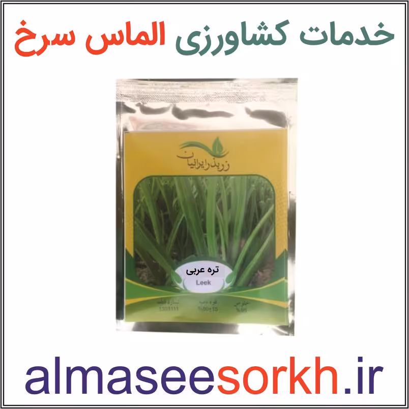 بذر تره عربی ممتاز زر بذر ایرانیان | گیاه پزشکی الماس سرخ