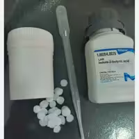 هورمون ریشه زای ایندول بوتریک اسید مرک آلمان اصلی 25 گرمی با حلال رایگان