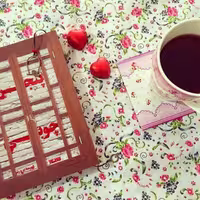 رمان پنجره چوبی اثر فهیمه پرورش نشر کتابستان معرفت