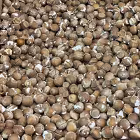 فندوق دو آتیشه کهندان