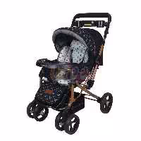 کالسکه دلیجان مدل BENITA LV1